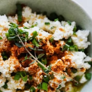 Cottage Cheese Recipes